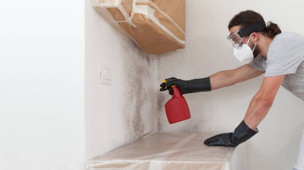 Professional Mold Removal technician working in Warrenville, IL