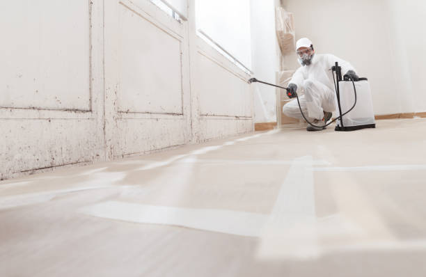 24/7 Emergency Mold Removal experts in Warrenville, IL